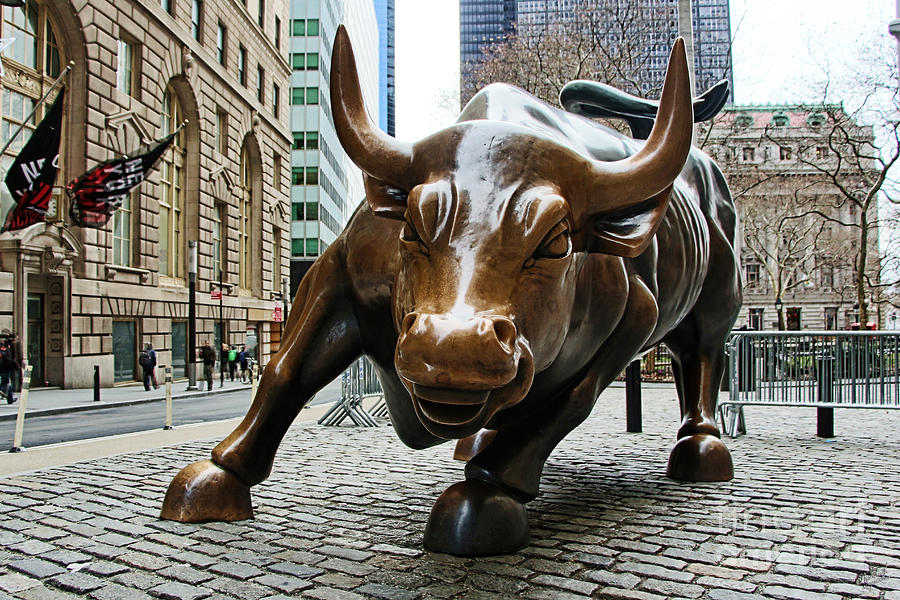 charging-bull-1-nishanth-gopinathan