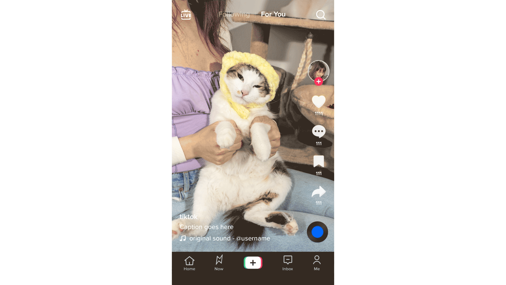 8005c5d7d9845d11bdf7d41533181834