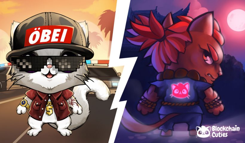 А ты возьми и купи кота: как криптовалютные игры начали приносить заработок