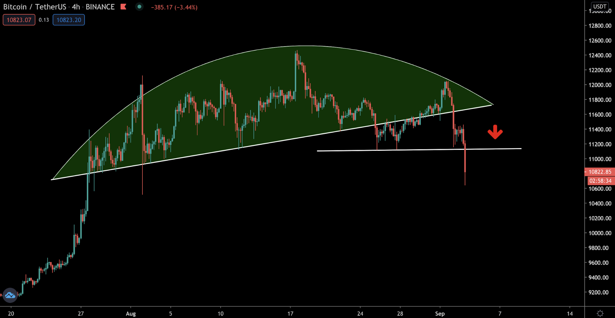 Трейдер назвал причины падения биткоина с отметки $12 000