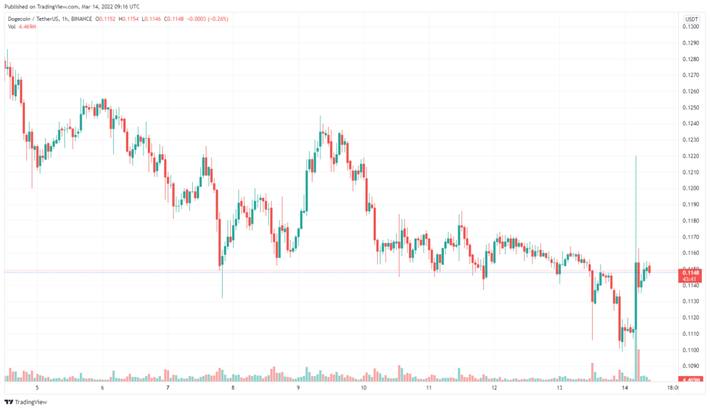 Илон Маск заявил о ходлинге криптовалют в ожидании роста инфляции