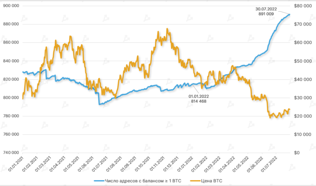 Отчет: ончейн-индикаторы указали на прохождение периода капитуляции биткоина