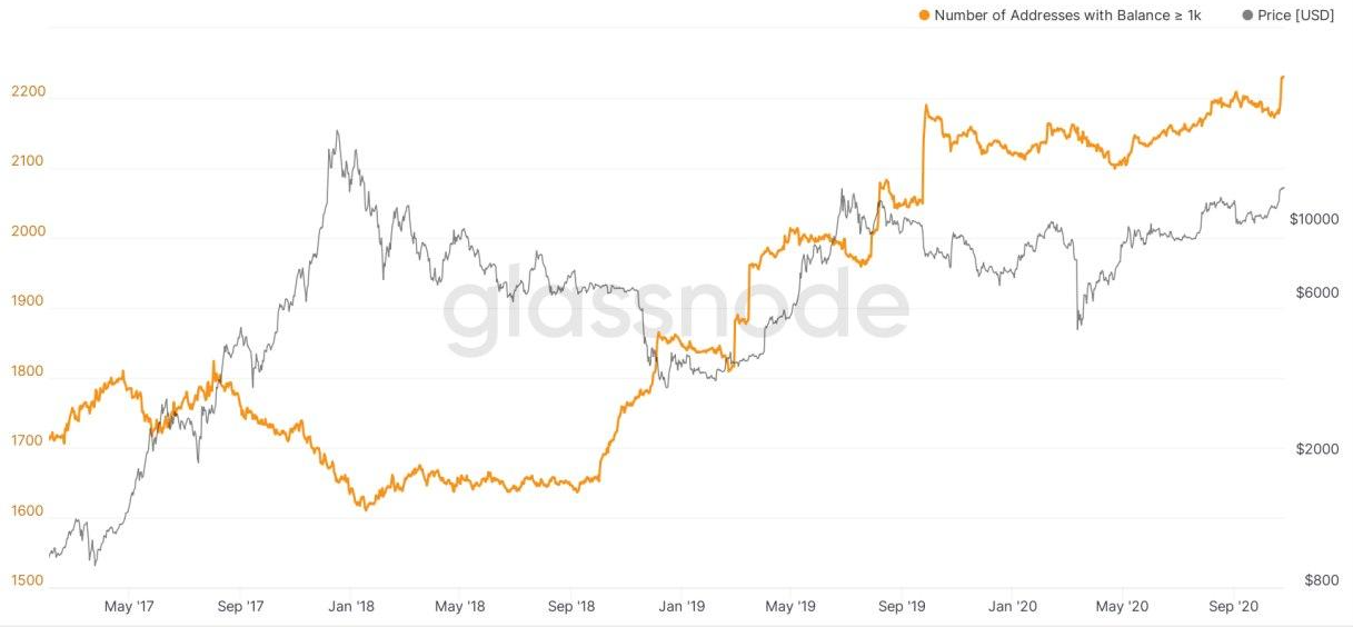 Количество адресов биткоин-китов обновило рекорд