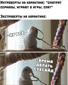 Самоизоляция и ликвидация: хроники жизни биткоин-трейдера