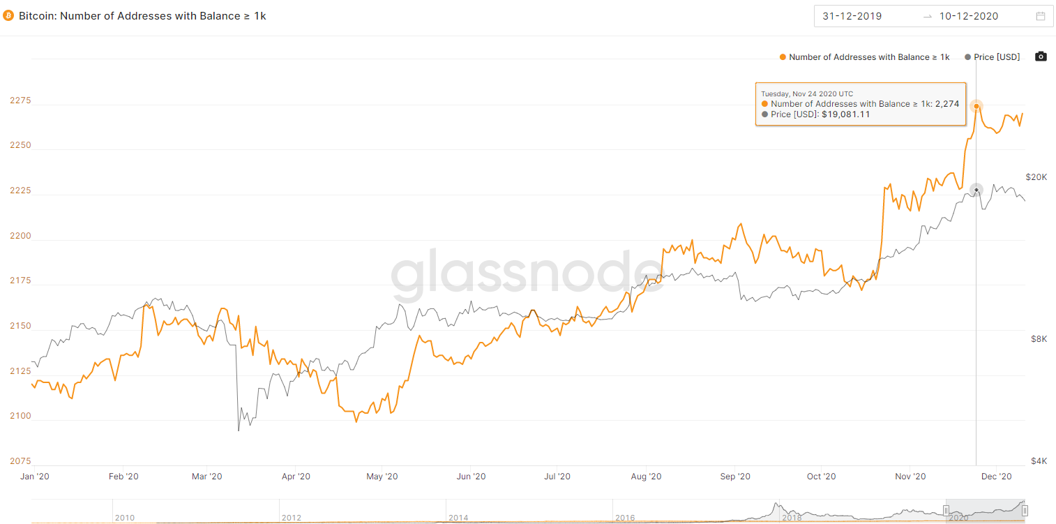 Chainalysis: с начала года балансы китовых биткоин-кошельков увеличились на 1,4 млн BTC