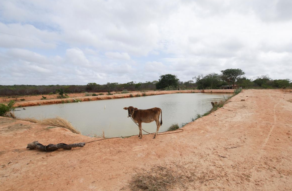 Reuters: венесуэльская криптовалюта El Petro ничем не обеспечена