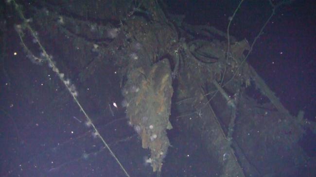 «Обеспеченный затонувшими сокровищами» ICO-проект подозревают в мошенничестве