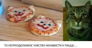 Редакция ForkLog подвела итоги конкурса Bitcoin Pizza Day