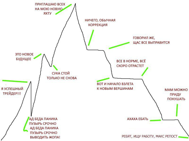 Детка, еще ниже, прошу: обзор мемов криптосообщества о дампе биткоина