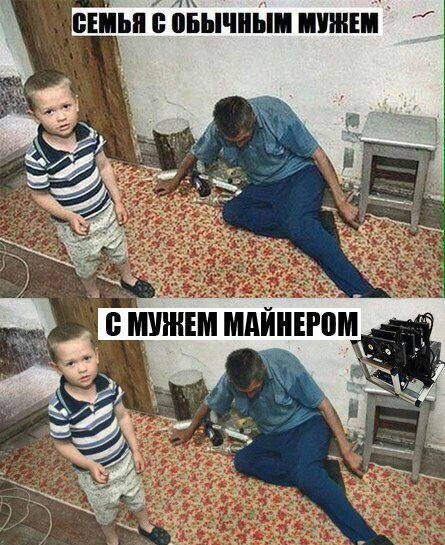 Детка, еще ниже, прошу: обзор мемов криптосообщества о дампе биткоина