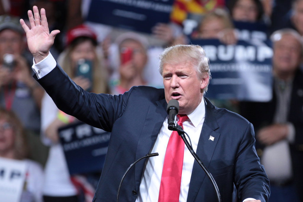 27662206392_da0bb78eca_b