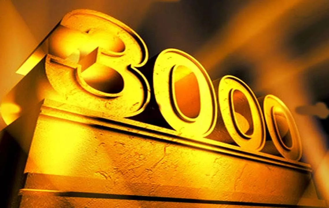 3000-1