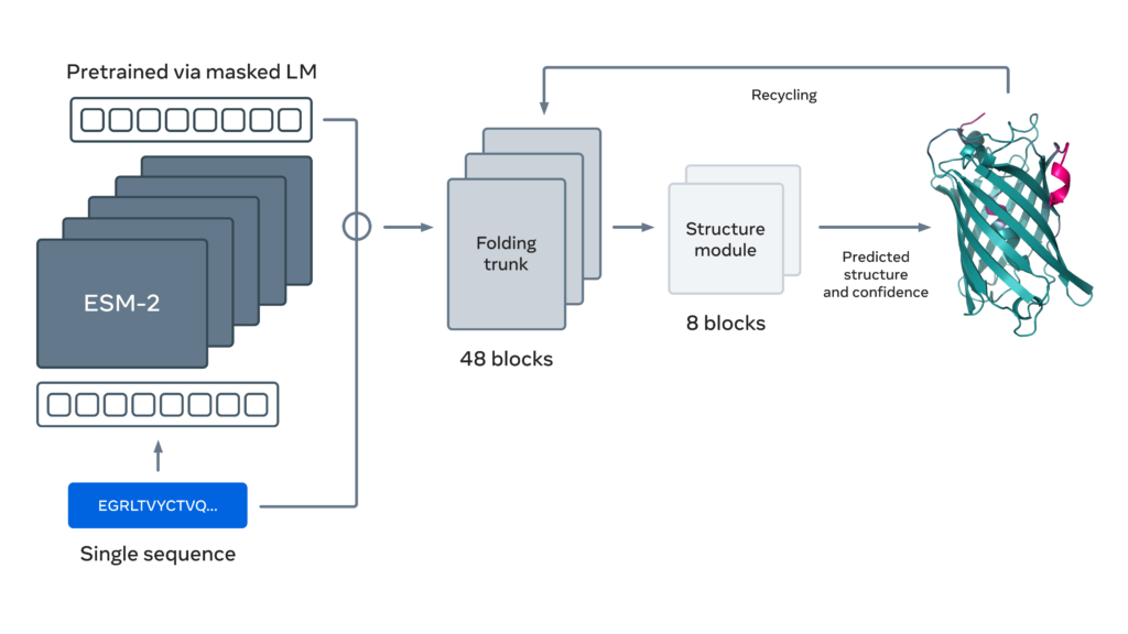 Meta AI разработала конкурента DeepMind AlphaFold