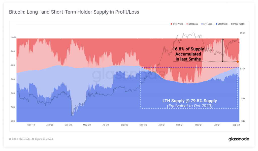 Glassnode: недавний обвал биткоина не повлиял на настрой долгосрочных инвесторов