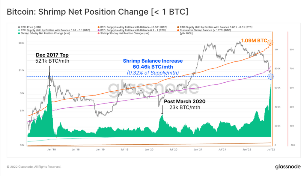 Glassnode: на страже рынка остались только ходлеры
