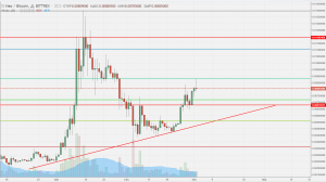 Анализ цен альткоинов: не всем угнаться за биткоином