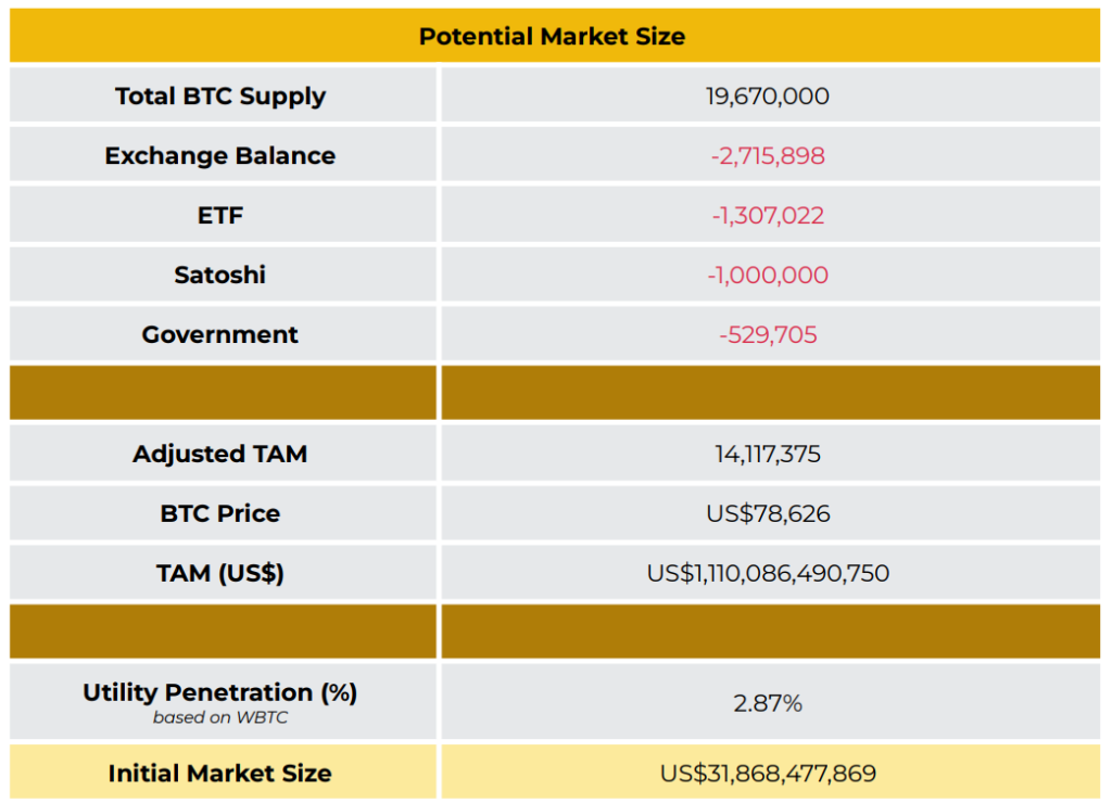 9-Potential-Market-Size