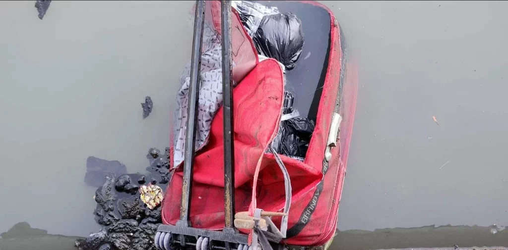 9ccb6f33-2209-482e-977f-8c9472a30cf8