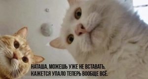 Нефть в минусах, коронакризис в разгаре? **Биткоин вошел в чат**