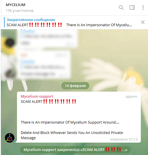 Mycelium советует отказаться от iOS-кошелька: баги в нем косвенно привели к краже $3300 в биткоинах
