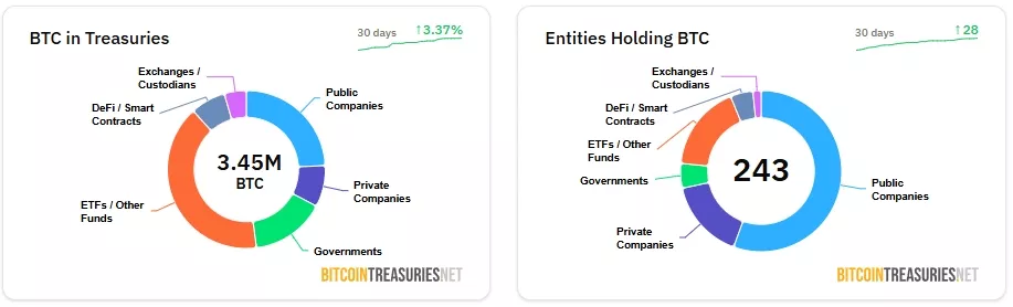 Bitcoin-Treasuries-243-Public-Companies-Private-Businesses-and-Other-Entities-Google-Chrome
