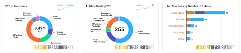 BitcoinTreasuries.NET-Top-Bitcoin-Treasury-Companies-Google-Chrome