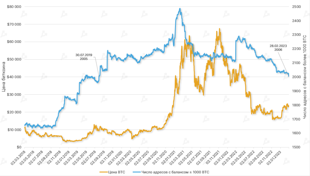 Динамика числа «китовых» адресов (с балансом более 1000 BTC). Данные: Glassnode.