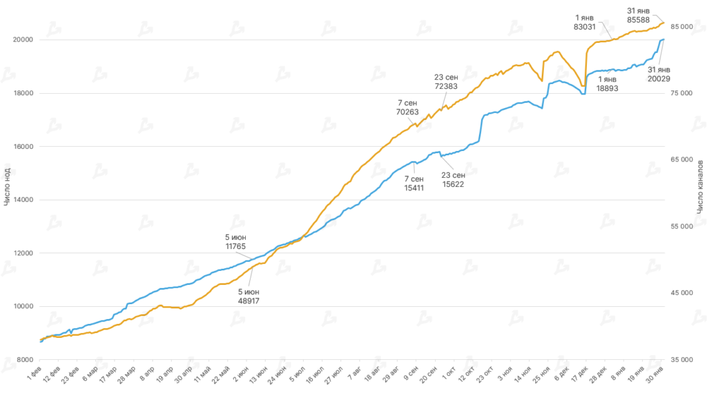 Январь 2022 в цифрах: бум NFT вопреки падению криптовалют, укрепление Fantom и рывок FTX к $32 млрд