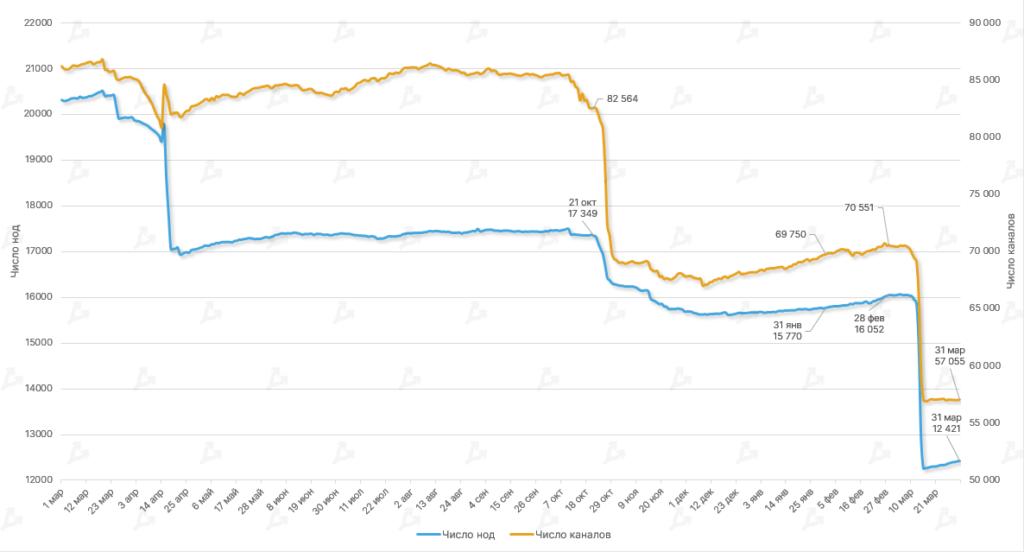 Динамика емкости сети Lightning Network