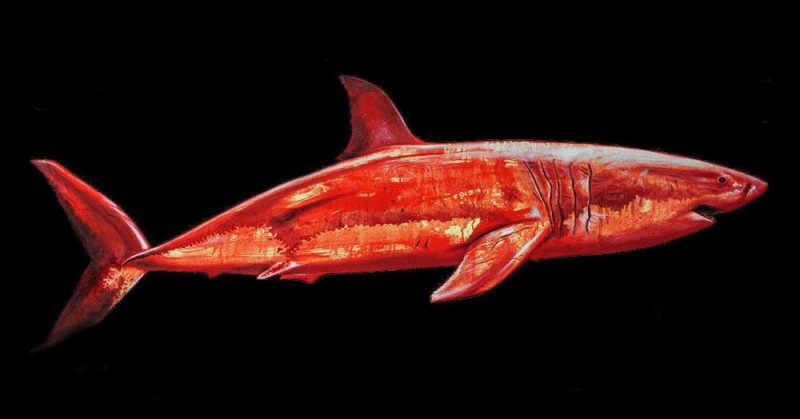 В Москве пройдет выставка картин Анастасии Копытцевой