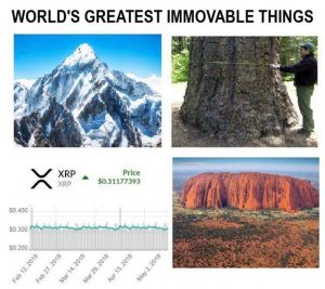 Биткоин, шиткоин и немного боли: лучшие мемы недели