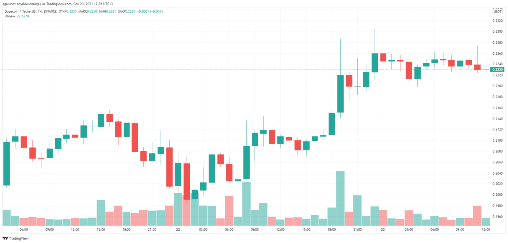 Питер Маккормак раскритиковал Илона Маска за поддержку Dogecoin