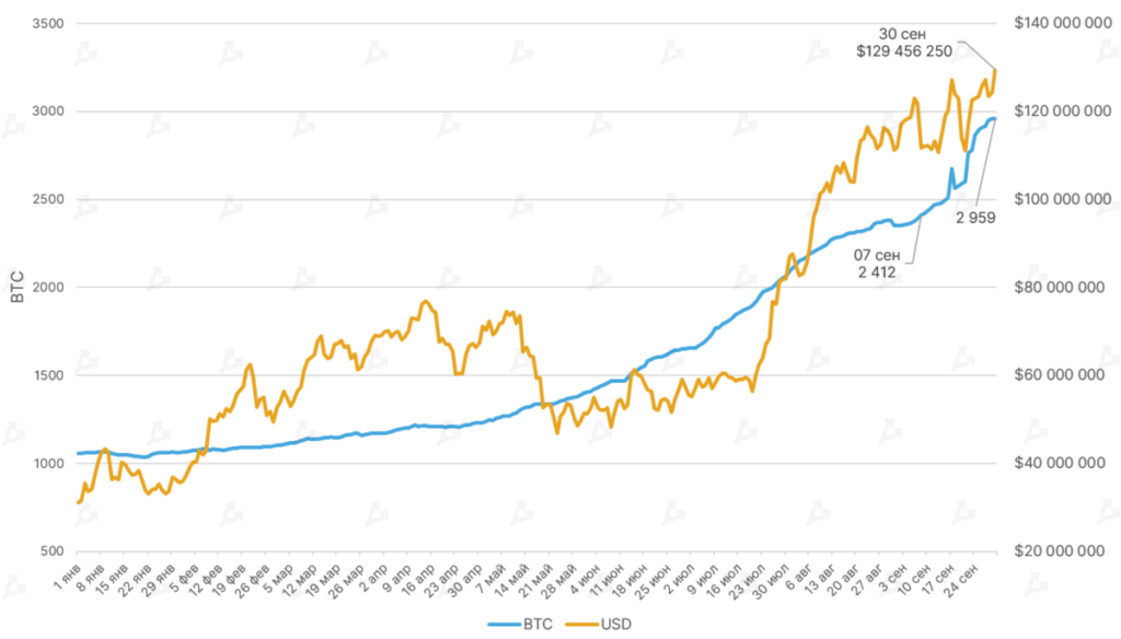Сентябрь 2021 в цифрах: взлет Arbitrum, ажиотаж вокруг dYdX и второе дыхание Lightning Network благодаря Сальвадору
