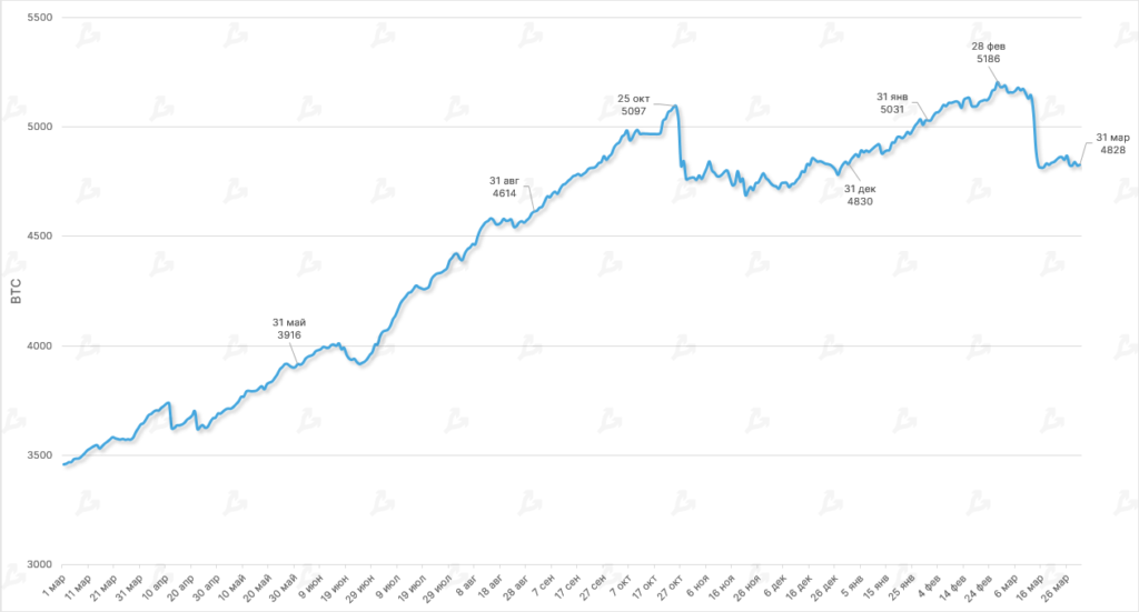Динамика емкости сети Lightning Network.