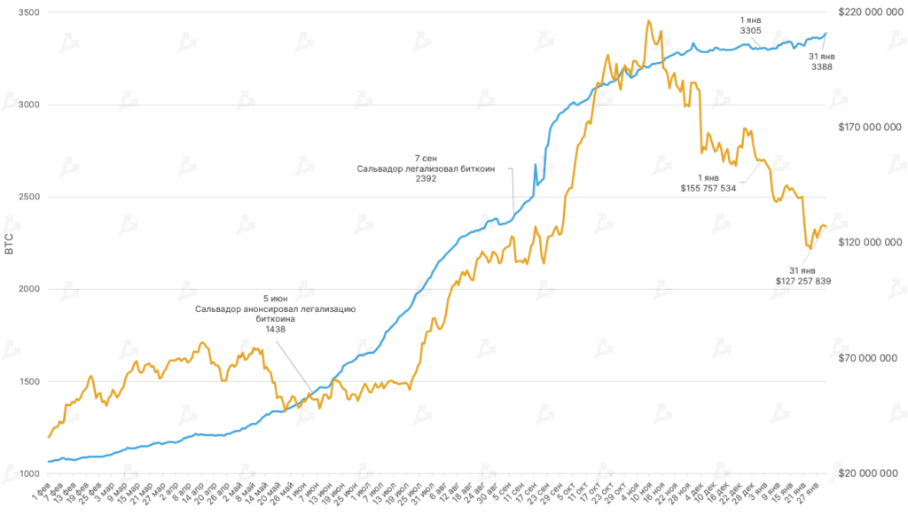 Январь 2022 в цифрах: бум NFT вопреки падению криптовалют, укрепление Fantom и рывок FTX к $32 млрд