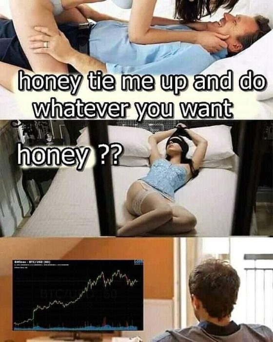 Волатильность стейблкоина и самый жуткий костюм на Хэллоуин: криптомемы недели