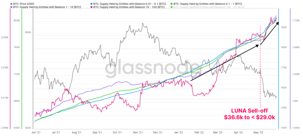 Май 2022 в цифрах: крах Terra, локальный минимум биткоина и отток ликвидности из DeFi