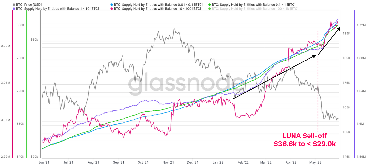 Отчет: индикаторы зафиксировали признаки капитуляции биткоин-ходлеров