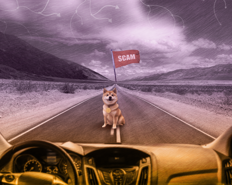 Феномен мем-токенов путь мем-коинов, meme coins, scam