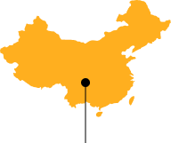 Ноябрь 2020 в цифрах: исторический максимум цены биткоина, запуск Ethereum 2.0