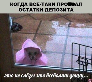 Эра альтов или последний визг хомяков? Мем-обзор недели