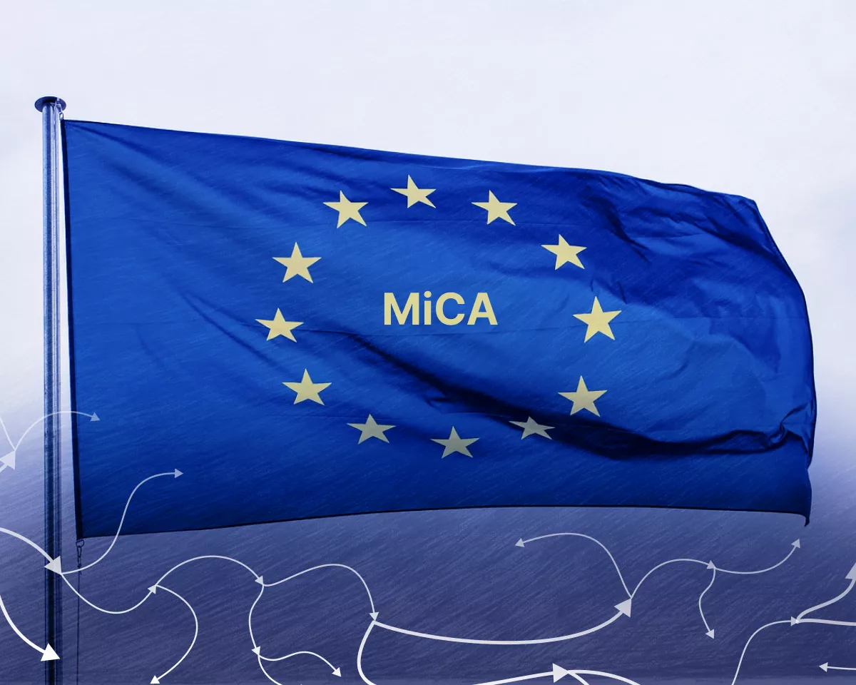 что такое mica