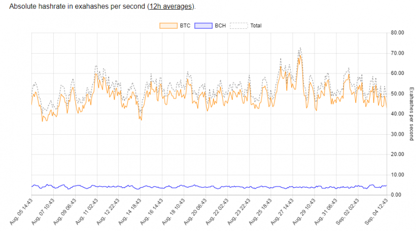 Хешрейт сети Bitcoin Cash упал ниже 8% от хешрейта биткоина
