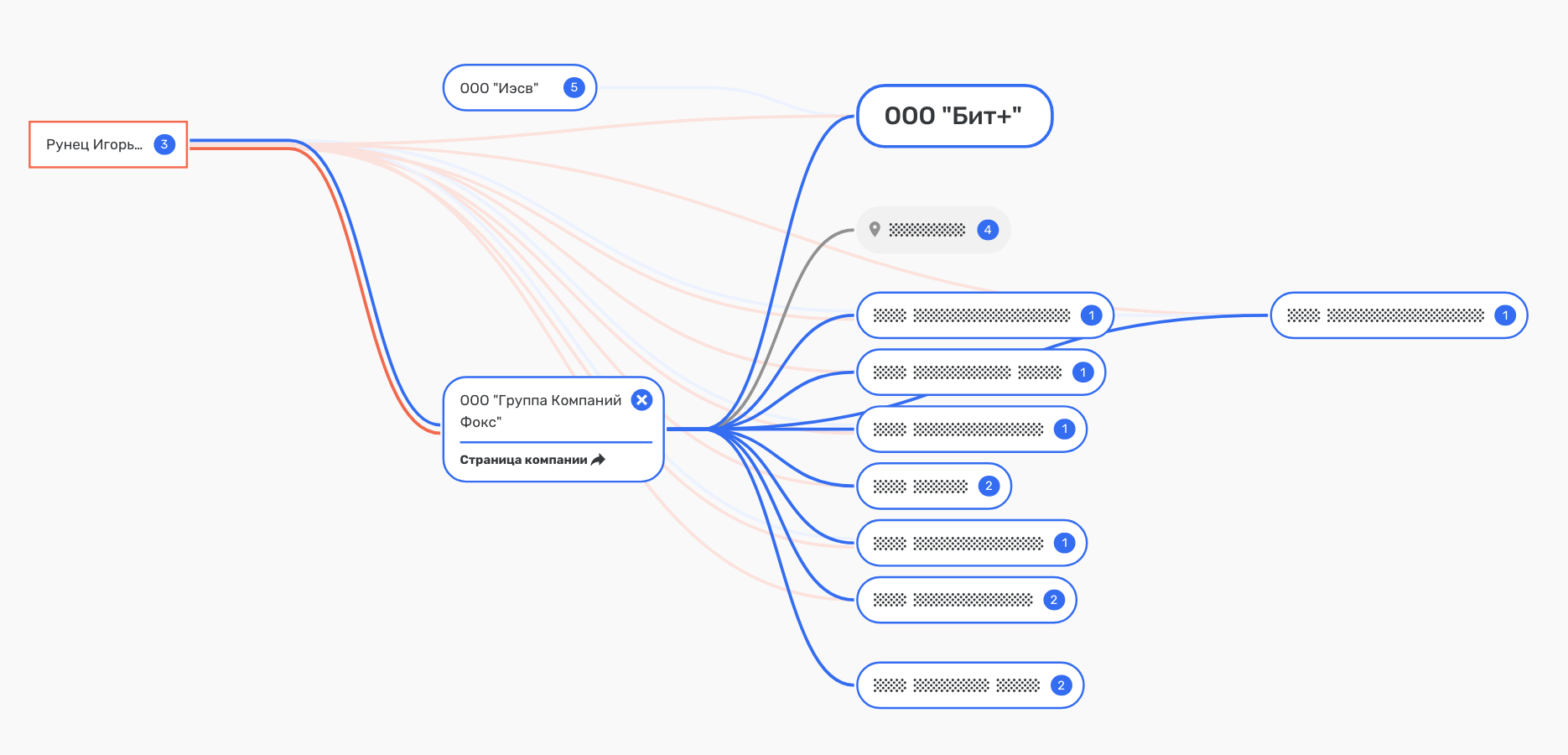 Холдинг-учредитель BitRiver профинансировал предвыборную кампанию ЛДПР