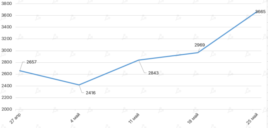 Май 2021 в цифрах: обвал биткоина, атака клонов Dogecoin и взрывной рост Polygon