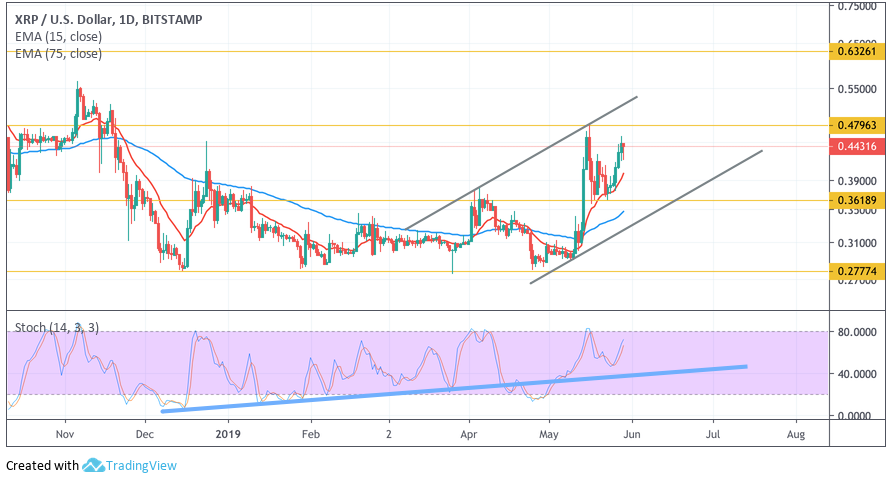 Анализ цен криптовалют: все говорит в пользу новой волны роста