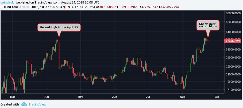 Цена биткоина: вероятность роста к $7000 возрастает