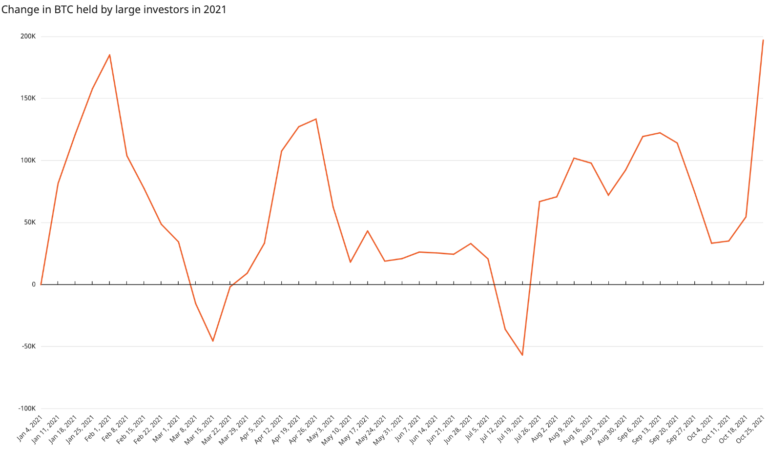 Chainalysis: биткоин-киты за неделю увеличили активы на 142 000 BTC