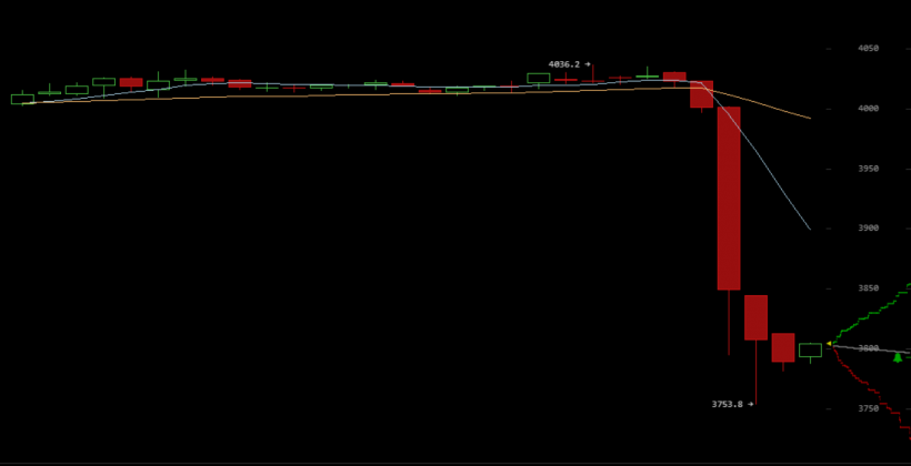 Число длинных позиций по биткоину обновило пятимесячный максимум