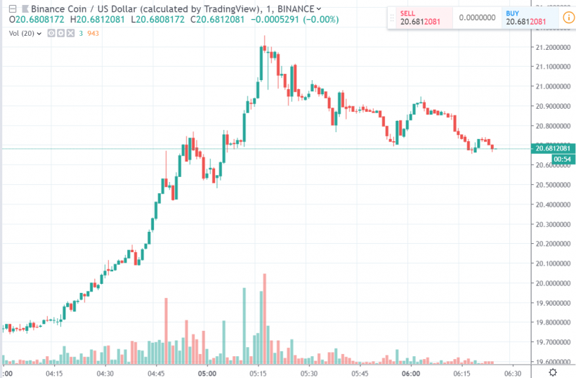 Цена Binance Coin растет на фоне информации о возможном запуске основной сети Binance Chain